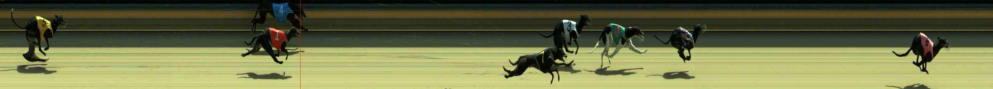 Race result finish photo